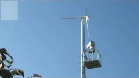 600W 1kw 2kw 3kw 5kw 10kw 15kw 20kw 30kw 50kw 100kw 200kw Home Use Horizontal Wind Turbine, Wind Power Geneator, Wind Generation System